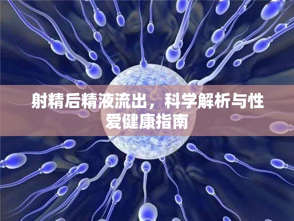 射精后精液流出，科學(xué)解析與性愛健康指南