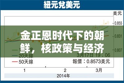 金正恩時(shí)代下的朝鮮，核政策與經(jīng)濟(jì)改革的最新動向解讀