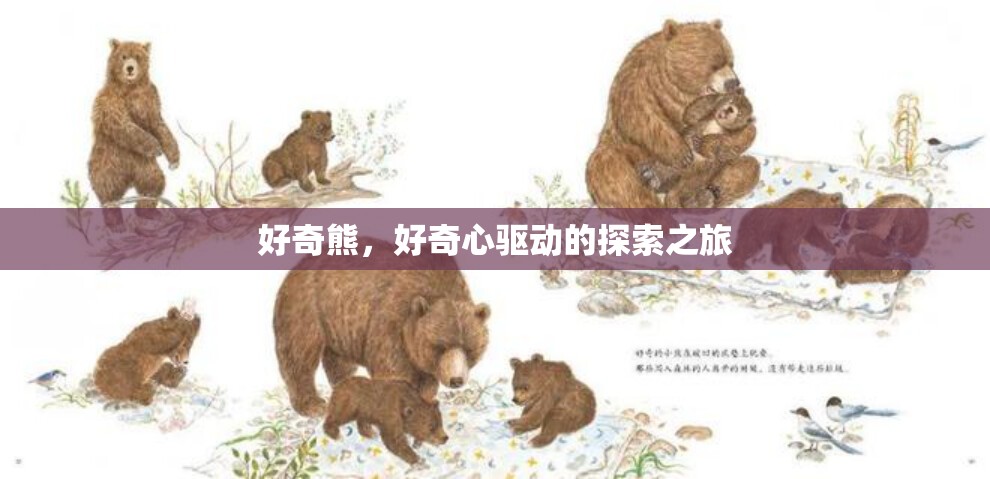 好奇熊，好奇心驅(qū)動(dòng)的探索之旅