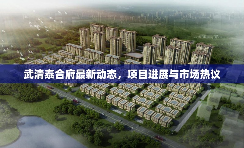 武清泰合府最新動態(tài)，項目進展與市場熱議