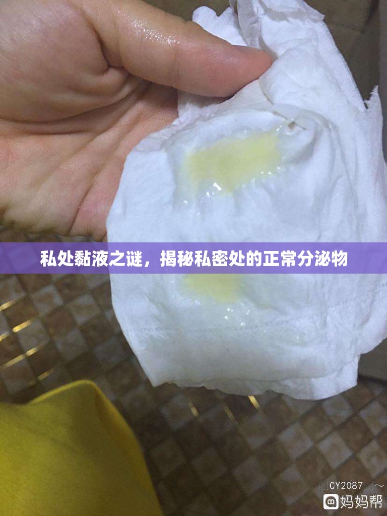 私處黏液之謎，揭秘私密處的正常分泌物
