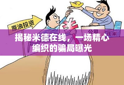 揭秘米德在線，一場(chǎng)精心編織的騙局曝光