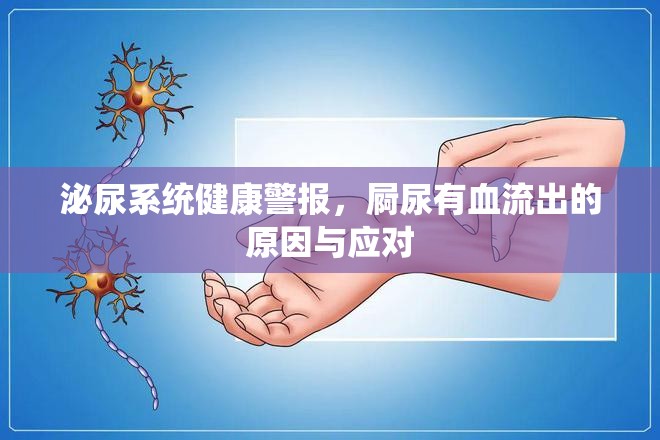 泌尿系統(tǒng)健康警報(bào)，屙尿有血流出的原因與應(yīng)對(duì)