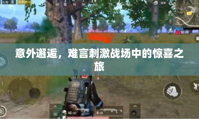 意外邂逅，難言刺激戰(zhàn)場中的驚喜之旅