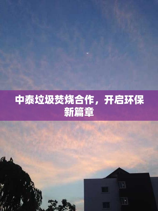 中泰垃圾焚燒合作，開啟環(huán)保新篇章