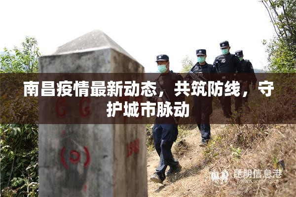 南昌疫情最新動態(tài)，共筑防線，守護城市脈動