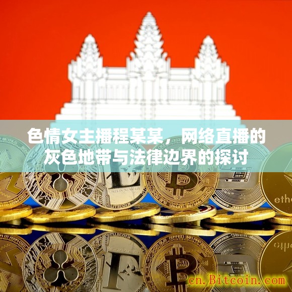 色情女主播程某某，網(wǎng)絡(luò)直播的灰色地帶與法律邊界的探討