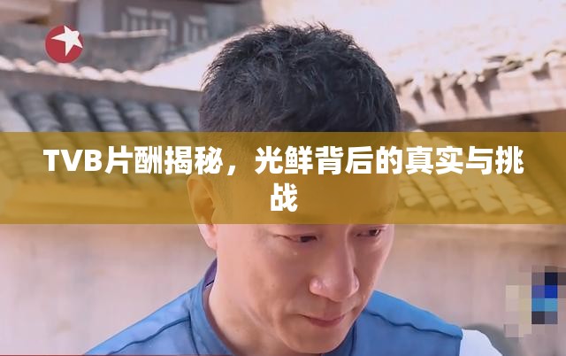 TVB片酬揭秘，光鮮背后的真實(shí)與挑戰(zhàn)