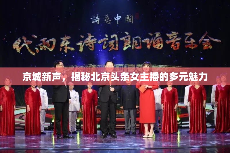 京城新聲，揭秘北京頭條女主播的多元魅力