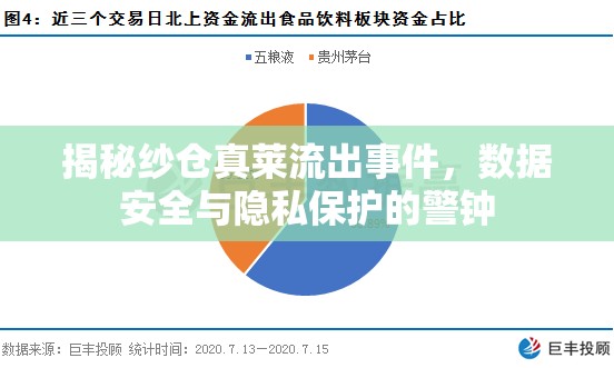 揭秘紗倉真萊流出事件，數(shù)據(jù)安全與隱私保護(hù)的警鐘