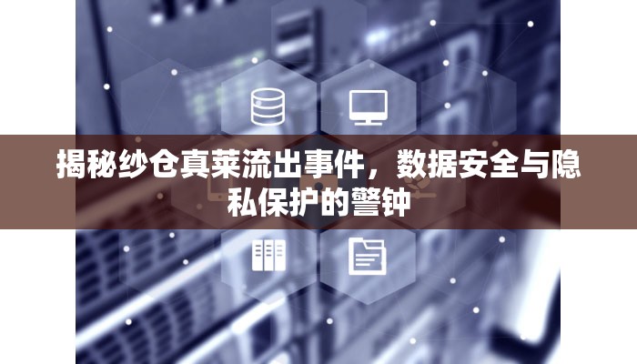 揭秘紗倉真萊流出事件，數(shù)據(jù)安全與隱私保護(hù)的警鐘