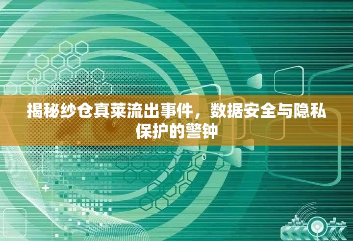 揭秘紗倉真萊流出事件，數(shù)據(jù)安全與隱私保護(hù)的警鐘