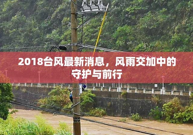 2018臺風最新消息，風雨交加中的守護與前行