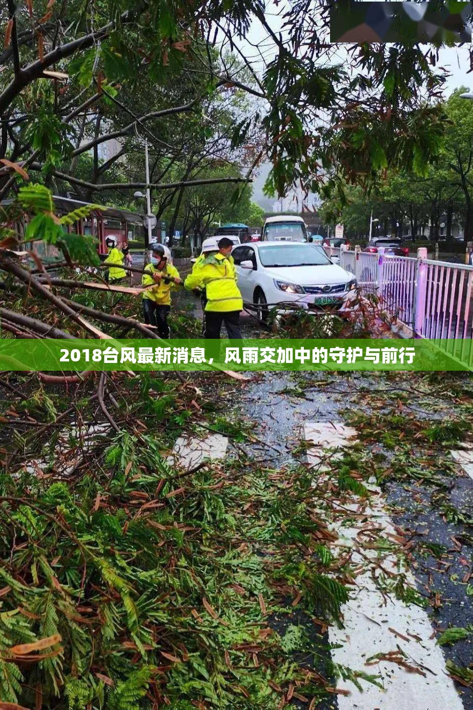 2018臺風最新消息，風雨交加中的守護與前行