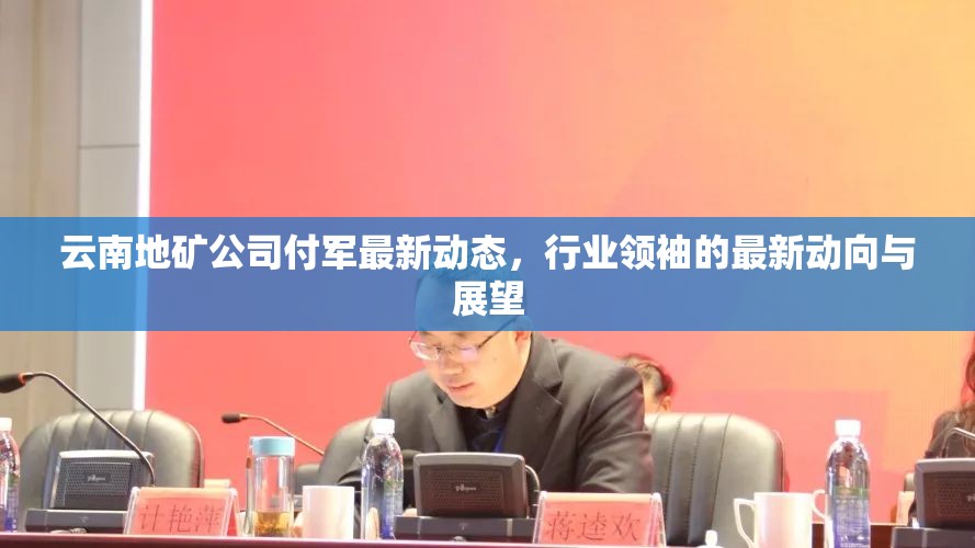 云南地礦公司付軍最新動(dòng)態(tài)，行業(yè)領(lǐng)袖的最新動(dòng)向與展望