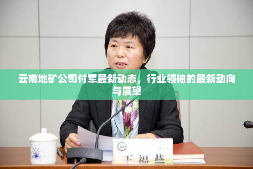 云南地礦公司付軍最新動(dòng)態(tài)，行業(yè)領(lǐng)袖的最新動(dòng)向與展望