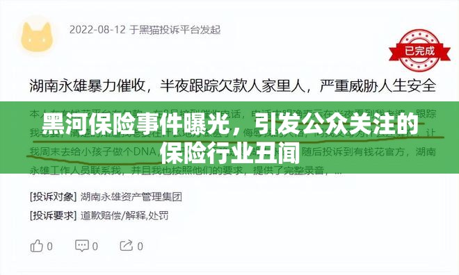 黑河保險(xiǎn)事件曝光，引發(fā)公眾關(guān)注的保險(xiǎn)行業(yè)丑聞