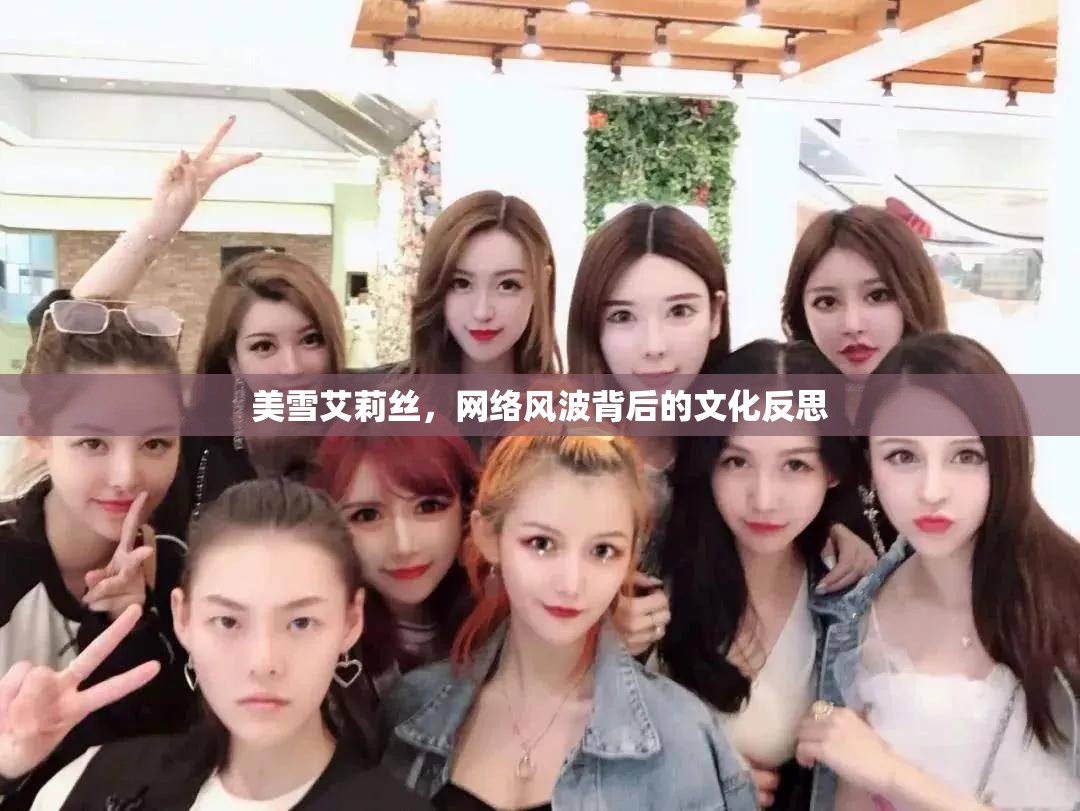 美雪艾莉絲，網(wǎng)絡(luò)風波背后的文化反思