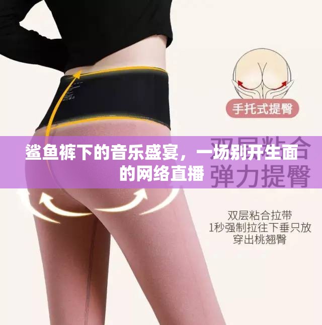 鯊魚褲下的音樂盛宴，一場別開生面的網(wǎng)絡(luò)直播