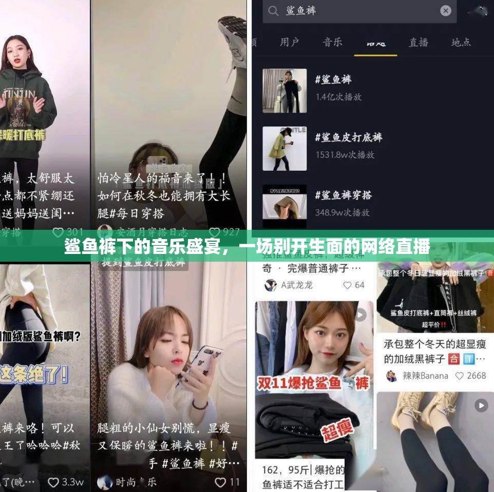 鯊魚褲下的音樂盛宴，一場別開生面的網(wǎng)絡(luò)直播