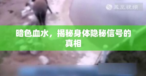 暗色血水，揭秘身體隱秘信號的真相