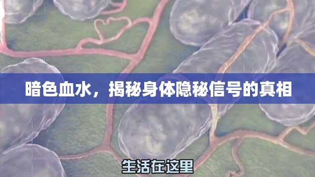暗色血水，揭秘身體隱秘信號的真相