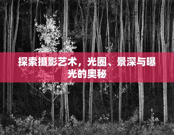 探索攝影藝術(shù)，光圈、景深與曝光的奧秘