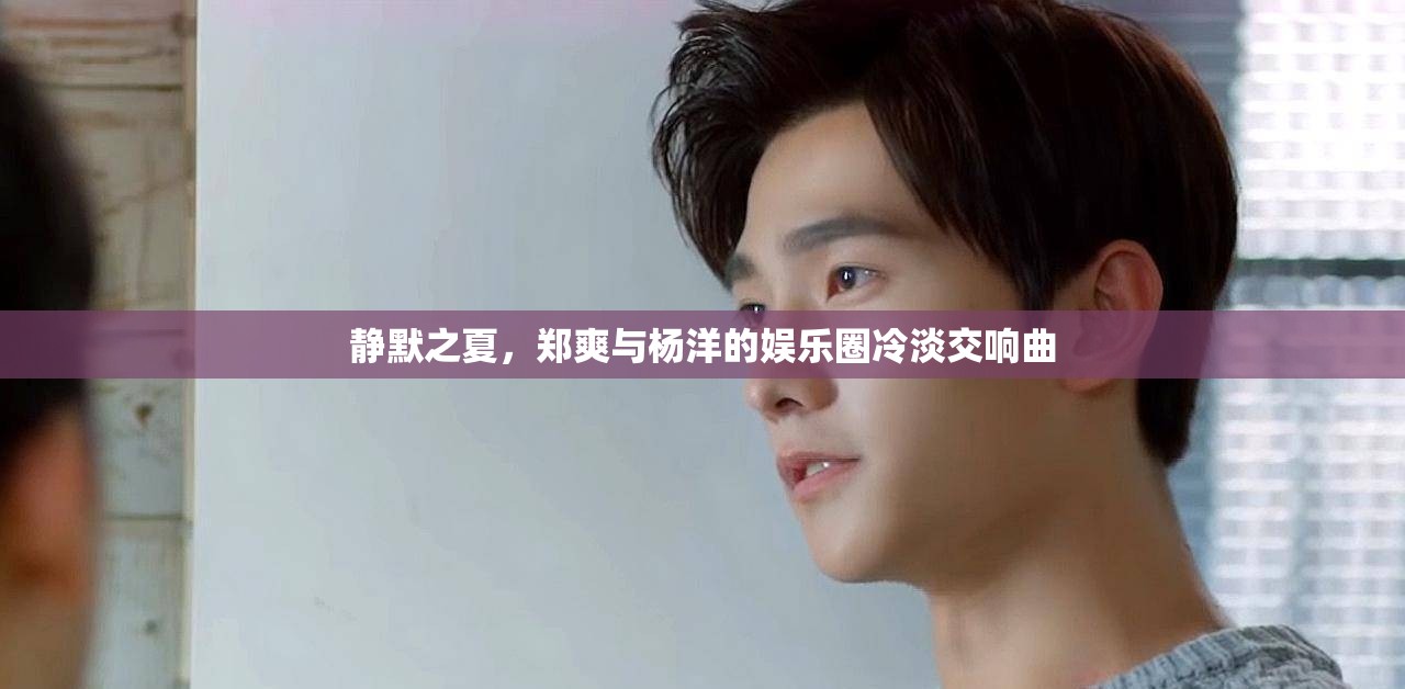 靜默之夏，鄭爽與楊洋的娛樂(lè)圈冷淡交響曲