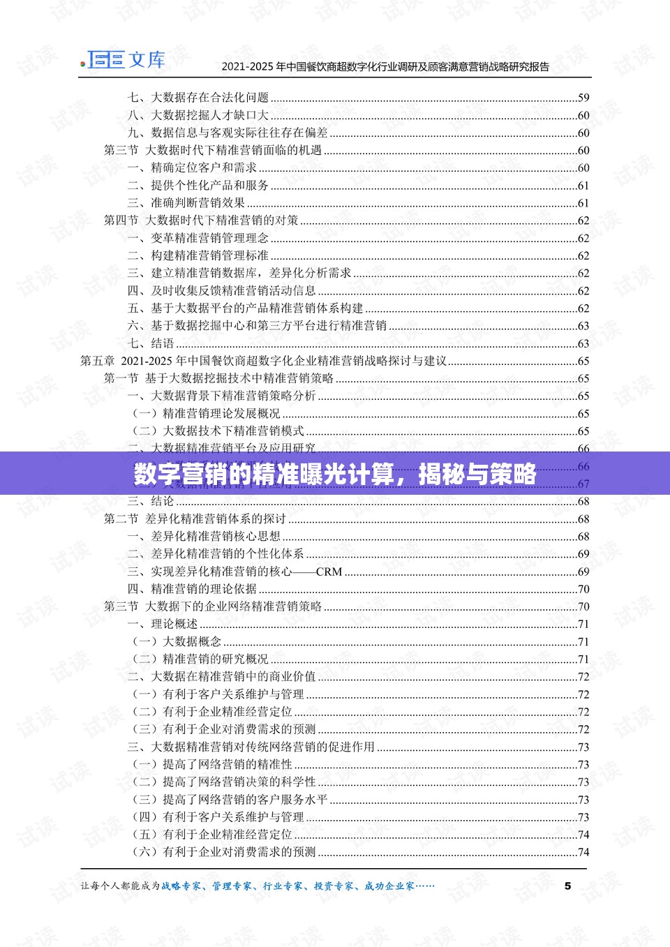數(shù)字營(yíng)銷的精準(zhǔn)曝光計(jì)算，揭秘與策略