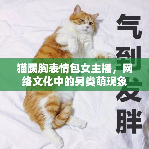 貓?zhí)咝乇砬榘鞑ィW絡文化中的另類萌現(xiàn)象