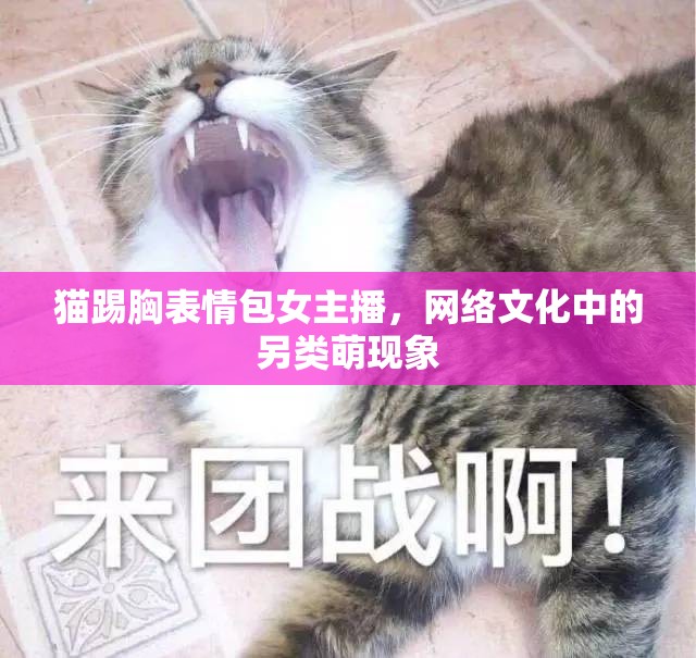 貓?zhí)咝乇砬榘鞑?，網絡文化中的另類萌現(xiàn)象