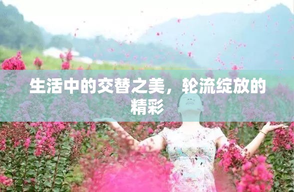 生活中的交替之美，輪流綻放的精彩
