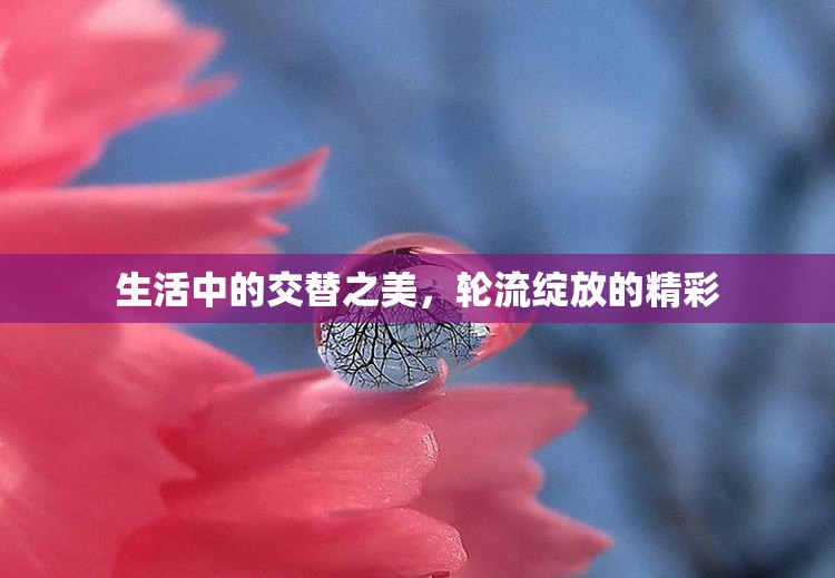 生活中的交替之美，輪流綻放的精彩