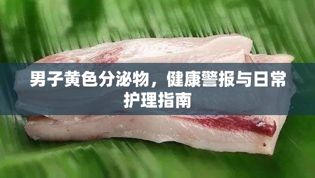男子黃色分泌物，健康警報與日常護理指南