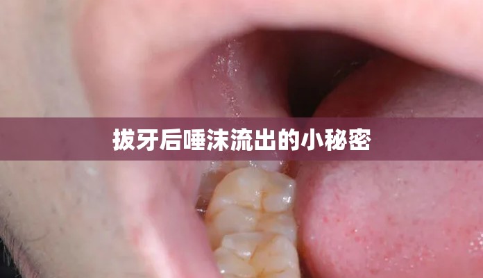 拔牙后唾沫流出的小秘密