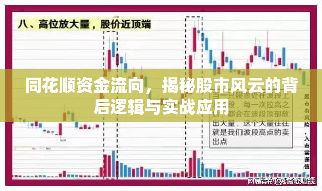 同花順資金流向，揭秘股市風(fēng)云的背后邏輯與實(shí)戰(zhàn)應(yīng)用