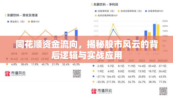 同花順資金流向，揭秘股市風(fēng)云的背后邏輯與實(shí)戰(zhàn)應(yīng)用