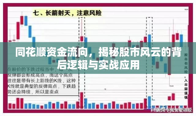 同花順資金流向，揭秘股市風(fēng)云的背后邏輯與實(shí)戰(zhàn)應(yīng)用