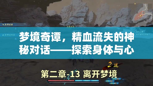 夢(mèng)境奇譚，精血流失的神秘對(duì)話(huà)——探索身體與心理的交織世界