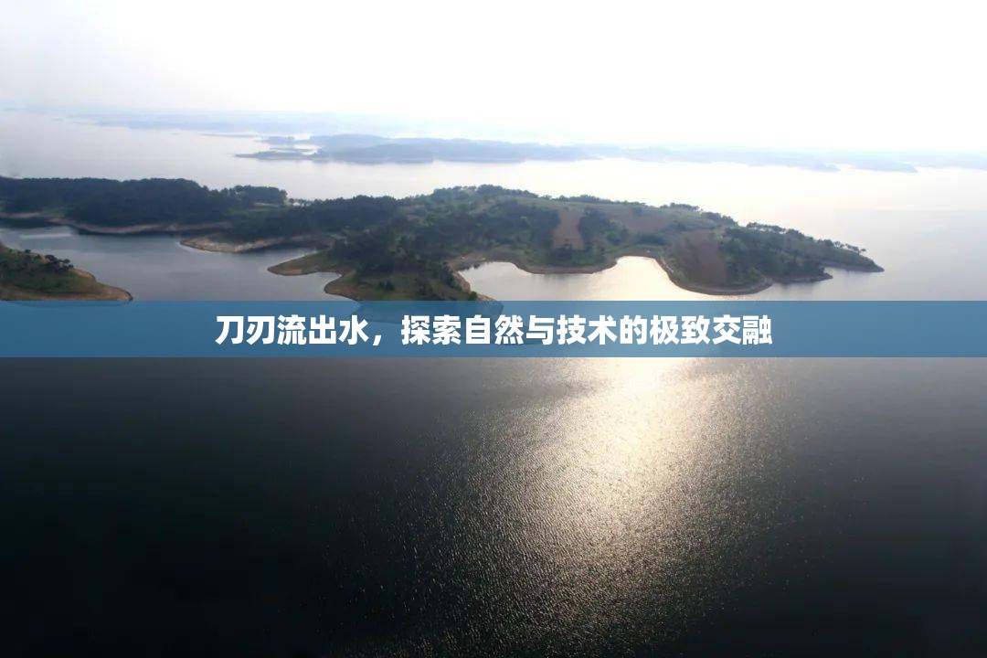 刀刃流出水，探索自然與技術(shù)的極致交融