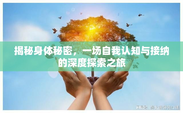 揭秘身體秘密，一場自我認(rèn)知與接納的深度探索之旅