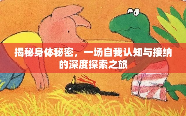 揭秘身體秘密，一場自我認(rèn)知與接納的深度探索之旅