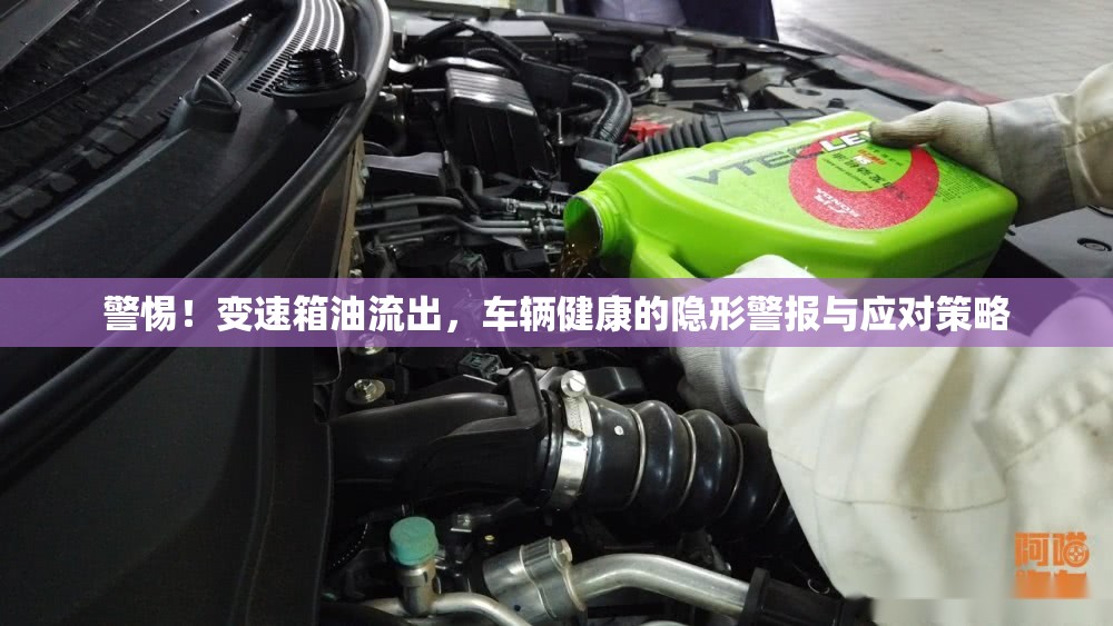 警惕！變速箱油流出，車輛健康的隱形警報與應(yīng)對策略