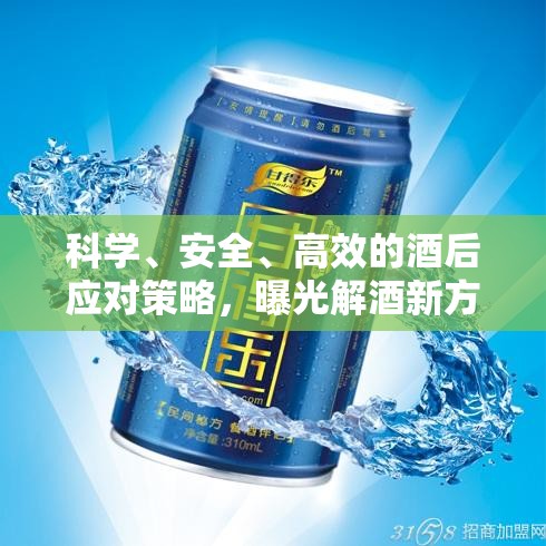 科學(xué)、安全、高效的酒后應(yīng)對策略，曝光解酒新方法