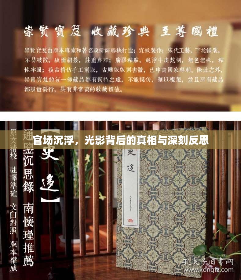 官場沉浮，光影背后的真相與深刻反思