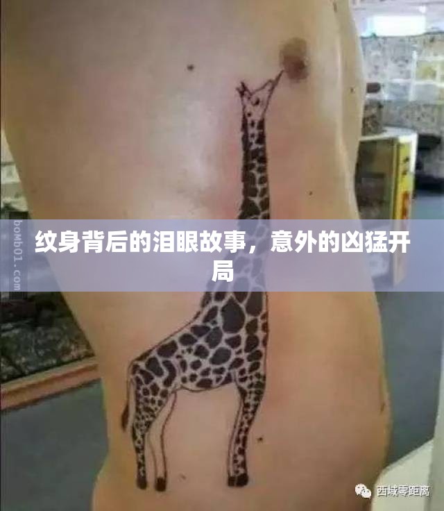 紋身背后的淚眼故事，意外的兇猛開(kāi)局