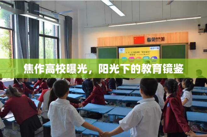 焦作高校曝光，陽光下的教育鏡鑒