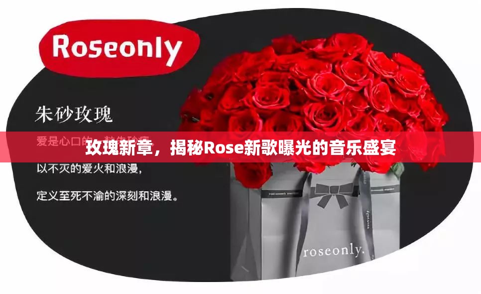 玫瑰新章，揭秘Rose新歌曝光的音樂盛宴
