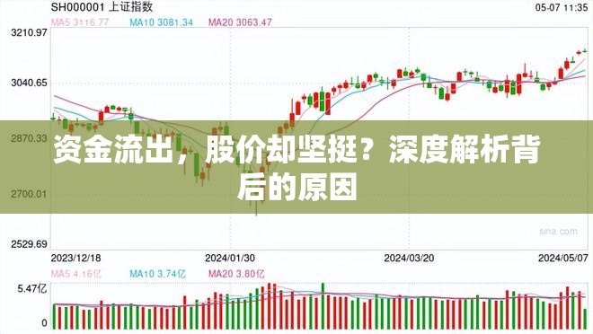 資金流出，股價(jià)卻堅(jiān)挺？深度解析背后的原因