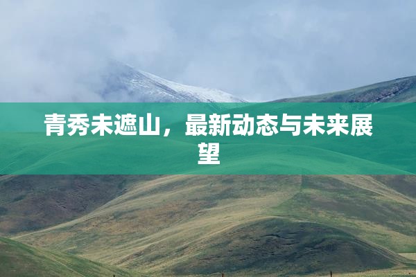 青秀未遮山，最新動態(tài)與未來展望